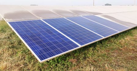 BA Organic Solar Panel Cleaner (1)