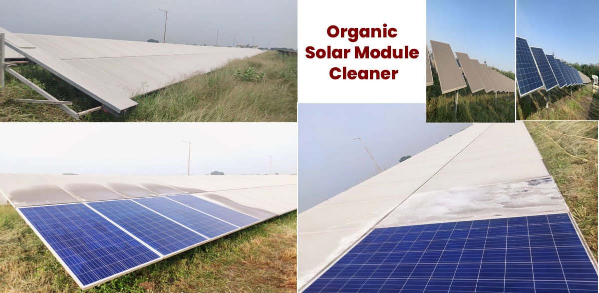 Organic Solar Module Cleaner after before