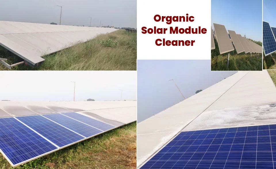 Solar panel cleaner