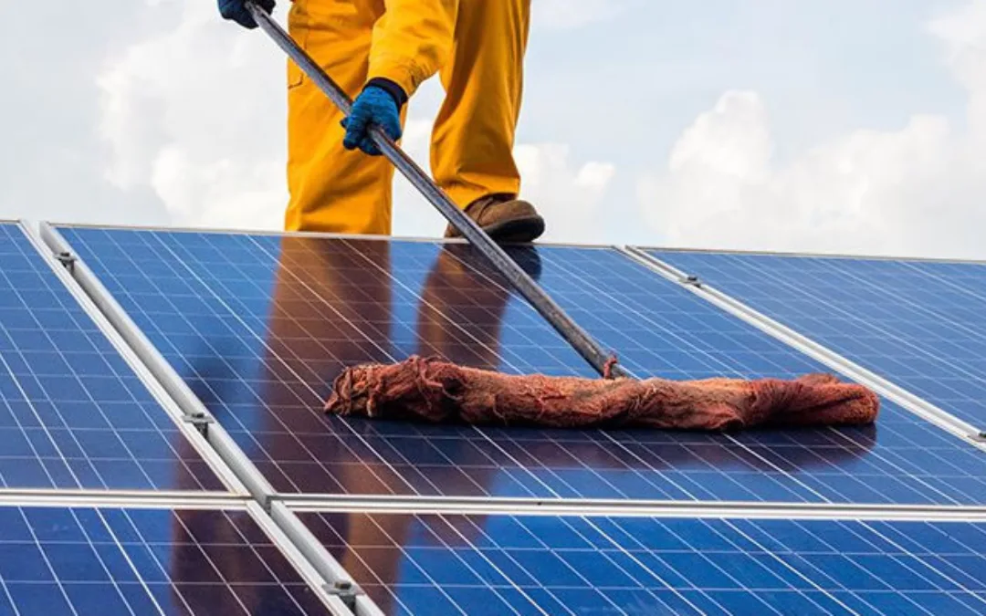 Best Way to Wash Solar Panels